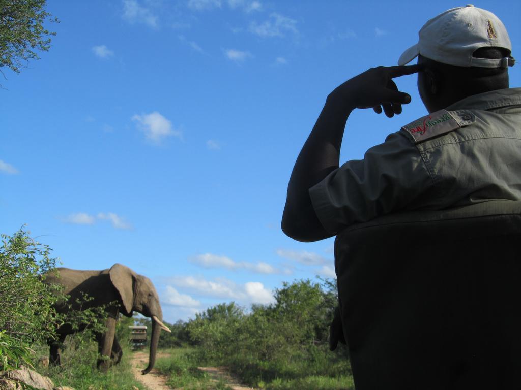 Greenfire Game Lodge Balule Wildreservaat Buitenkant foto